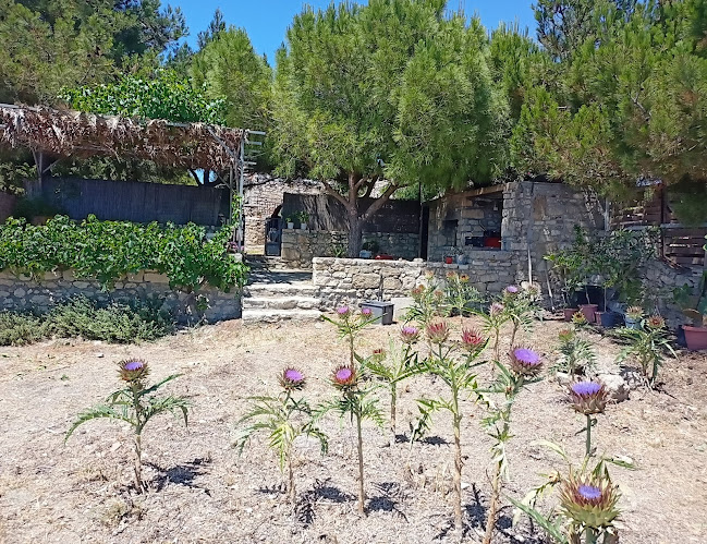 Βιτσιλιά - Μουσείο