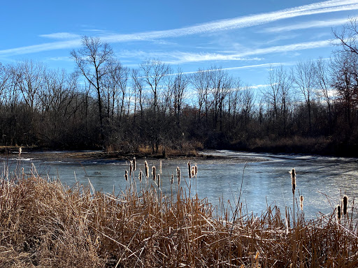 Nature Preserve «Half Day Forest Preserve», reviews and photos, 24255 IL-21, Vernon Hills, IL 60060, USA