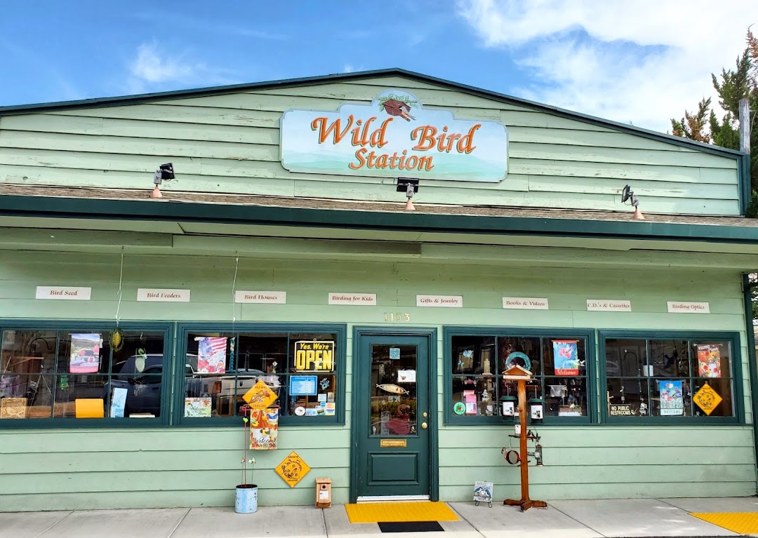 Wild Bird Station