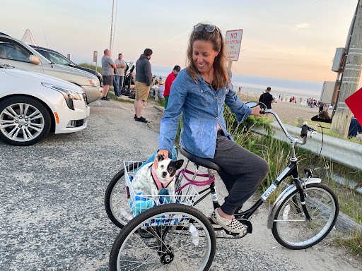 Bicycle Store «Village Bicycle Shop», reviews and photos, 605 Lafayette St, Cape May, NJ 08204, USA