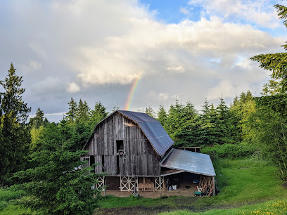 Grey Owl Hollow