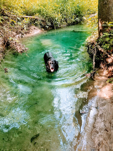 Park «Bever Park», reviews and photos, 2700 Bever Ave SE, Cedar Rapids, IA 52403, USA