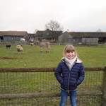 Photo n° 1 de l'avis de Elisabeth.a fait le 15/03/2022 à 18:51 pour Les Fermes de Gally - Ferme pédagogique à Sartrouville