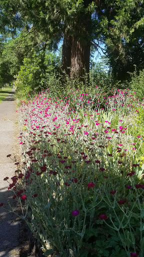Park «Washburne Park», reviews and photos, E 21st Ave & Agate Street, Eugene, OR 97403, USA