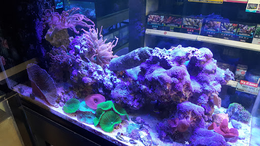 Tropical Fish Store «Salty Fish Aquariums», reviews and photos, 5535 Brewster St, San Antonio, TX 78233, USA