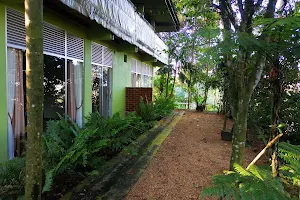 Sinharaja Kurulu Ella Eco Resort image