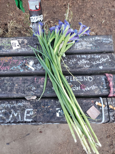 Park «Viretta Park», reviews and photos, 151 Lake Washington Blvd E, Seattle, WA 98112, USA