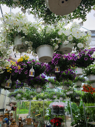 Garden Center «Copia Home and Garden», reviews and photos, 475 Smith Ridge Rd, South Salem, NY 10590, USA