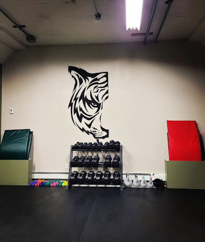 TWIN TIGER BOXING ACADEMY