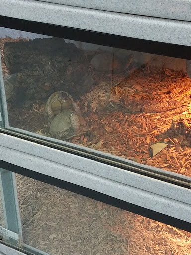 Reptile Store «LLLReptile & Supply Las Vegas», reviews and photos, 8450 W Sahara Ave #105, Las Vegas, NV 89117, USA