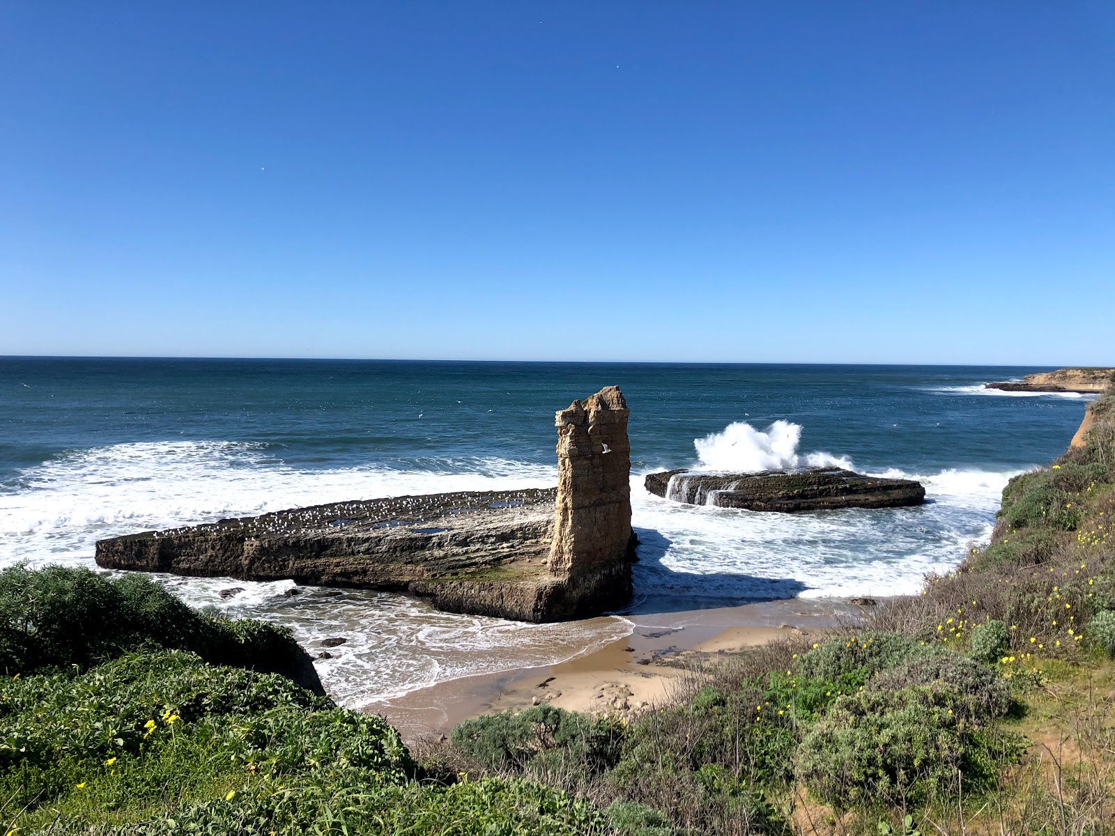 Photo de Four Mile Beach situé dans une zone naturelle