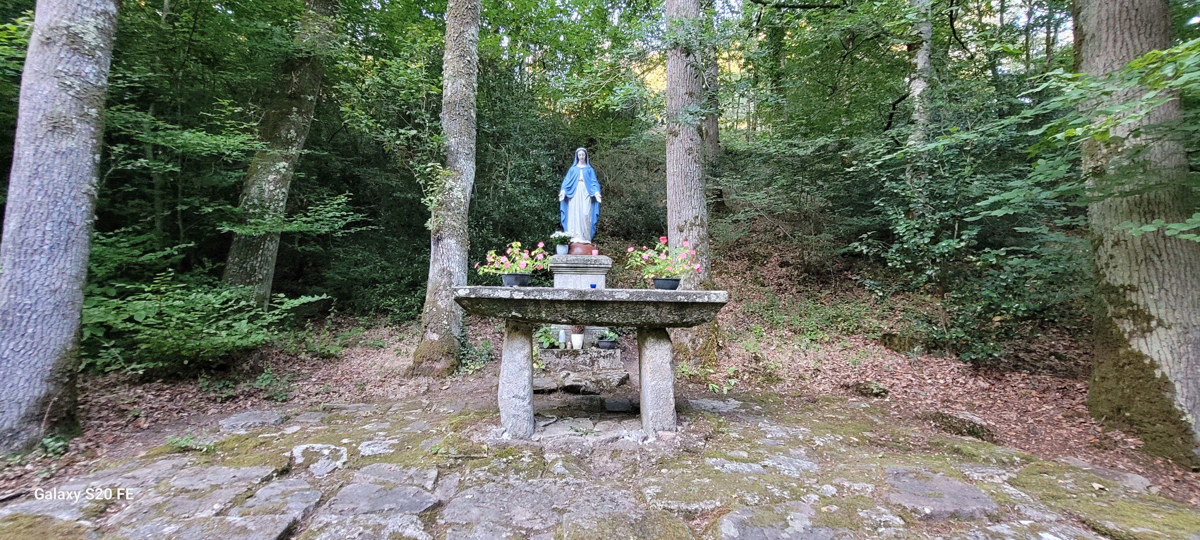 Photo n° 28 de l'avis de Christian.a fait le 19/08/2023 à 22:37