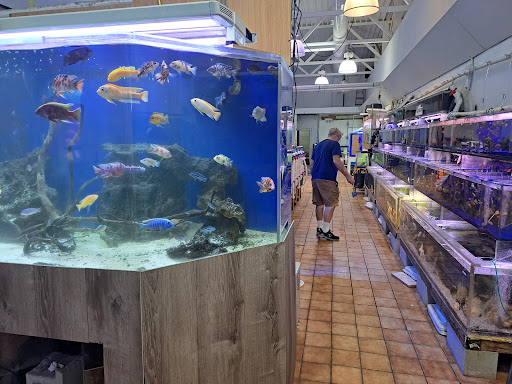 Pet Supply Store «Seascape Aquarium & Pet Center», reviews and photos, 2162 Gulf Gate Dr, Sarasota, FL 34231, USA