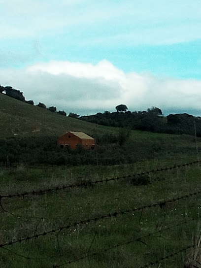 La piedra gorda - C. de Peñon y Cruz, 11, 41370 Cazalla de la Sierra, Sevilla, Spain