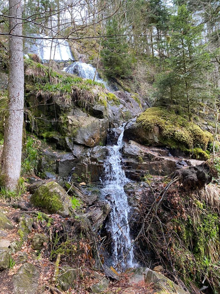 Photo n° 5 de l'avis de Arnaud.u fait le 19/04/2023 à 19:54