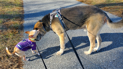 Park «Blandair Regional Park», reviews and photos, 5750 Oakland Mills Rd, Columbia, MD 21045, USA