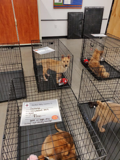 Pet Supply Store «PetSmart», reviews and photos, 10600 Melody Dr, Northglenn, CO 80234, USA