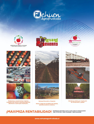 Empresas Nehuen, Agrofrutícola y constructora - Tienda