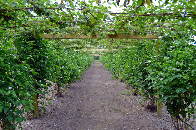 Reviews of Iona Boysenberry Orchard in Papamoa - Other