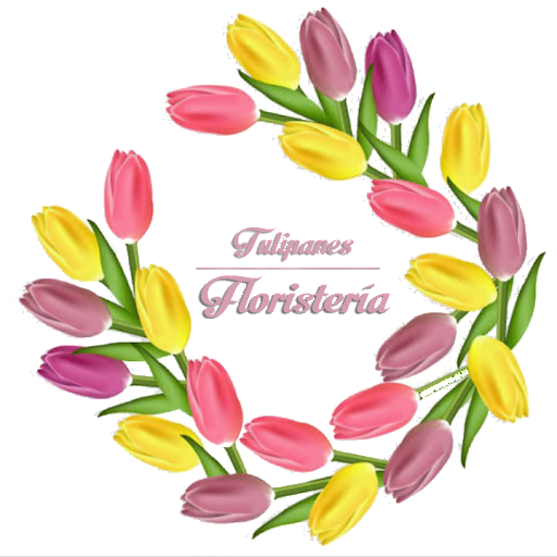 Tulipanes floristería – Santo Domingo de Morelos