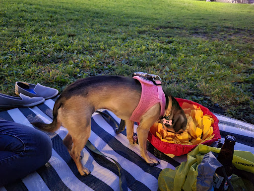 Park «Titus Sparrow Park», reviews and photos, 200 W Newton St, Boston, MA 02118, USA