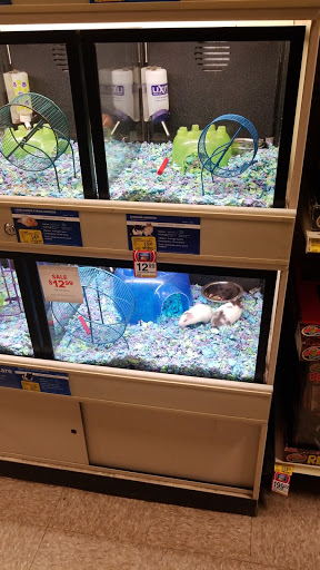 Pet Supply Store «PetSmart», reviews and photos, 1020 Veterans Pkwy #900, Clarksville, IN 47129, USA