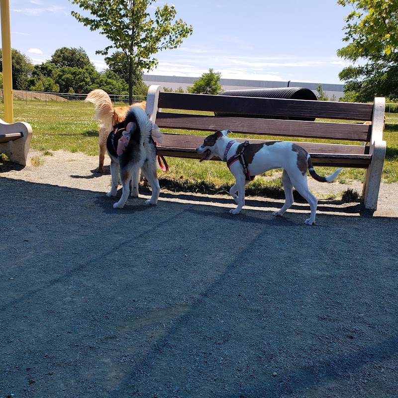 Edison-Metuchen Community Dog Park