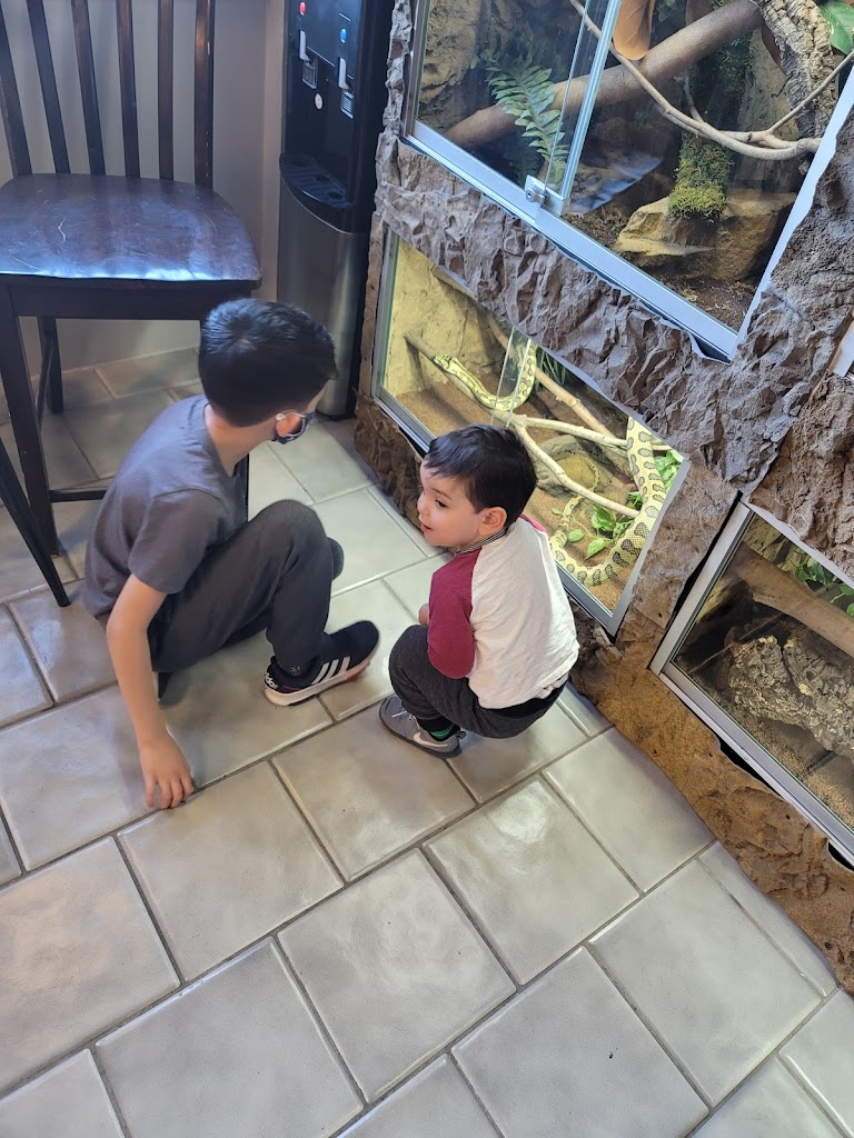 Caci Barber Shop and Reptilium 12528