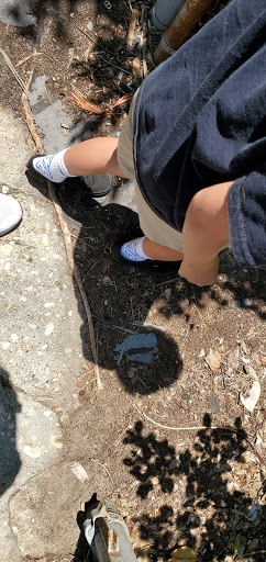 Bridal Shop «Bridal Boutique & Tux Shoppe», reviews and photos, 125 W Main St, Prattville, AL 36067, USA