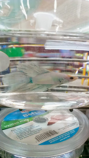 Pet Supply Store «Petco Animal Supplies», reviews and photos, 1014 Glenbrook Way, Hendersonville, TN 37075, USA