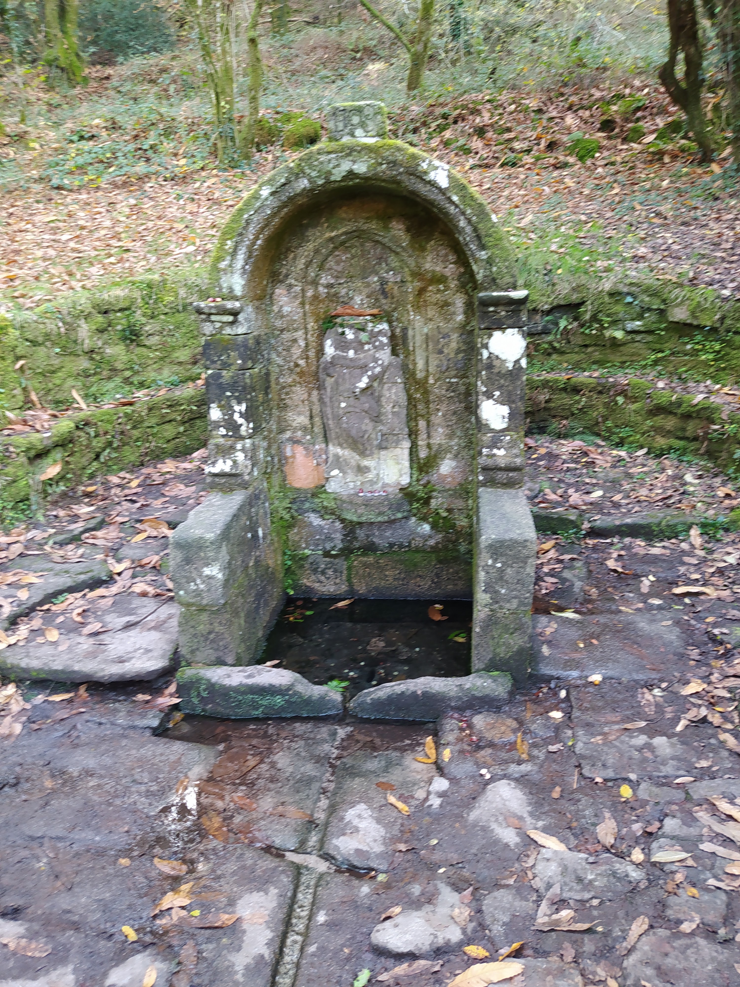Photo n° 2 de l'avis de Galy.i fait le 17/11/2021 à 07:33