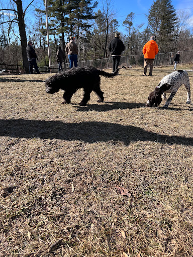 Dog Trainer «Awesome Dawgs Dog Training LLC», reviews and photos, 3052 Pricetown Rd, Temple, PA 19560, USA