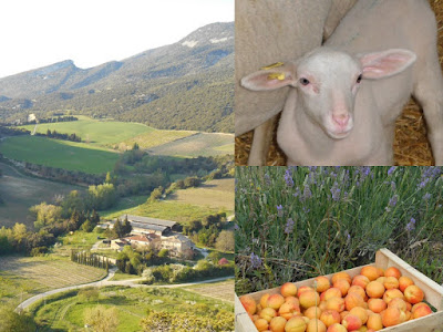 La ferme de Célas à Le Pègue