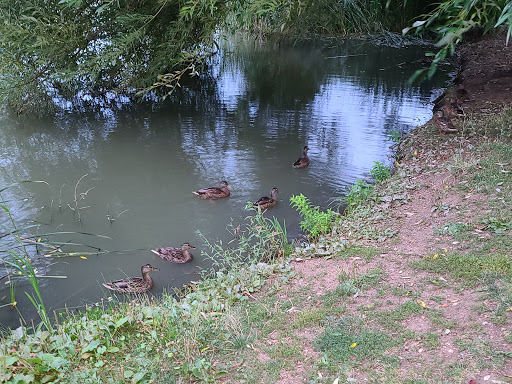 Park «Huston Lake Park», reviews and photos, 850 S Bryant St, Denver, CO 80219, USA