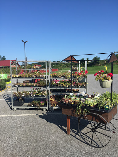 Pet Supply Store «Stoltzfus Feed & Supply», reviews and photos, 80 PA-41, Gap, PA 17527, USA