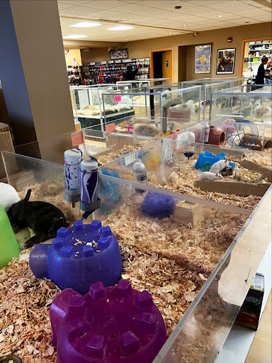 Pet Store «Perfect Pets», reviews and photos, 6840 S University Blvd #410, Centennial, CO 80122, USA