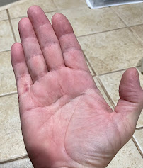 Capital Ortho - Photo 2 - Car repair in Madison, MS, Jackson