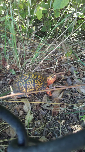 Auto Body Shop «Gerber Collision & Glass», reviews and photos, 3420 Ellicott Center Dr, Ellicott City, MD 21043, USA