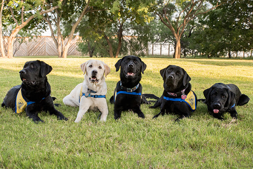 Canine Companions Headquarters and Northwest Training Center