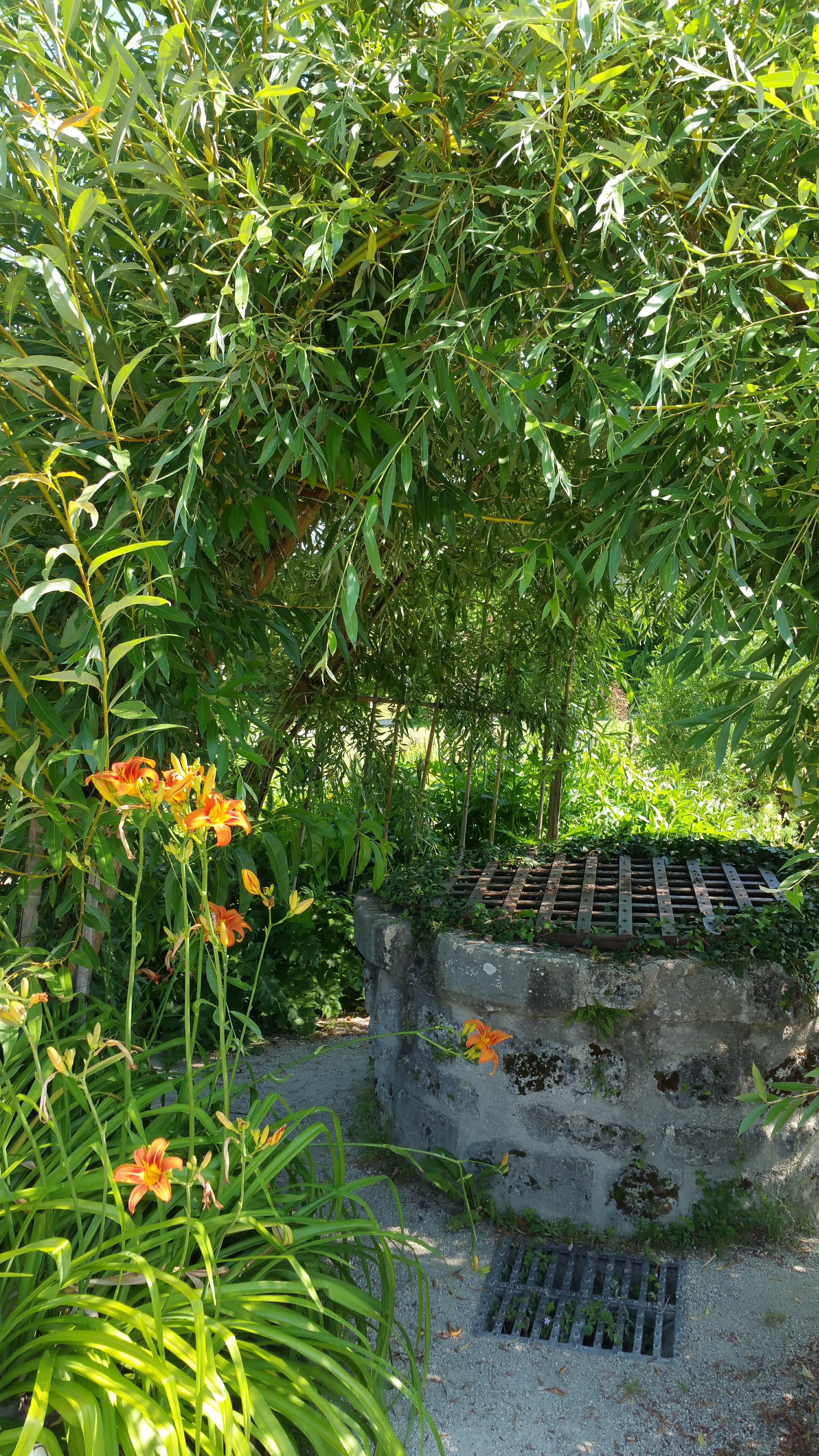 Photo n° 10 de l'avis de mireille.o fait le 12/06/2017 à 17:51