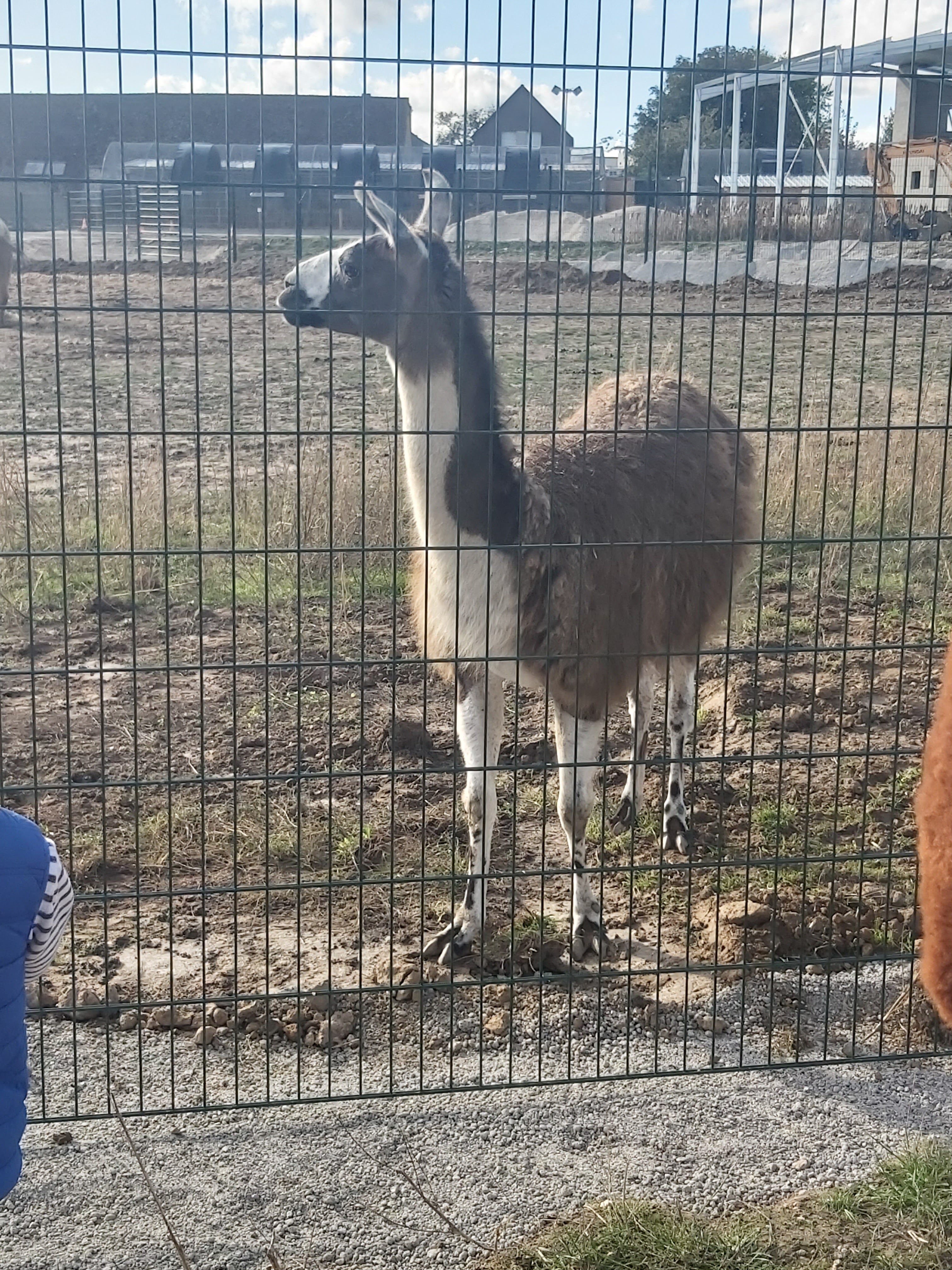 Photo n° 37 de l'avis de Laetitia.e fait le 23/10/2020 à 16:30