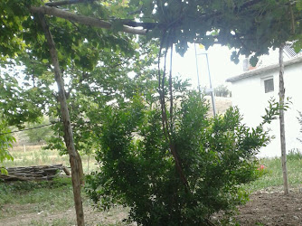 Cumhuriyet İlkokulu