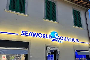 Seaworld Aquarium image