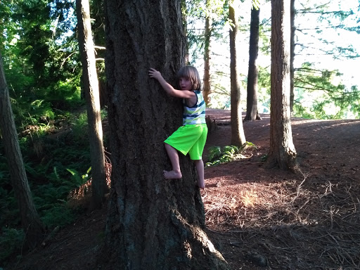 Water Park «Rotary Centennial Water Playground», reviews and photos, 802 E Mukilteo Blvd, Everett, WA 98203, USA