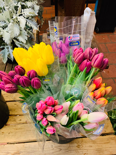 Florist «Mills the Florist», reviews and photos, 235 University Ave, Palo Alto, CA 94301, USA