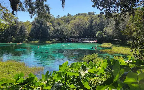 Rainbow Springs State Park image