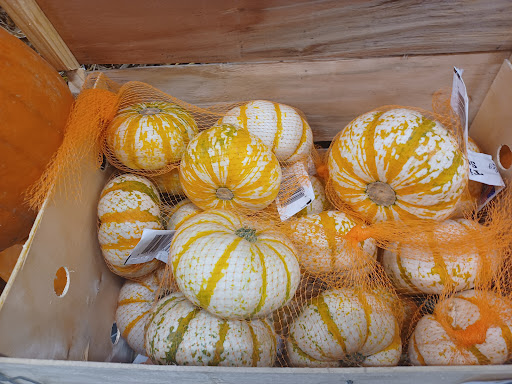 Home Improvement Store «The Home Depot», reviews and photos, 680 Lamar Hutcheson Pkwy, Riverdale, GA 30274, USA