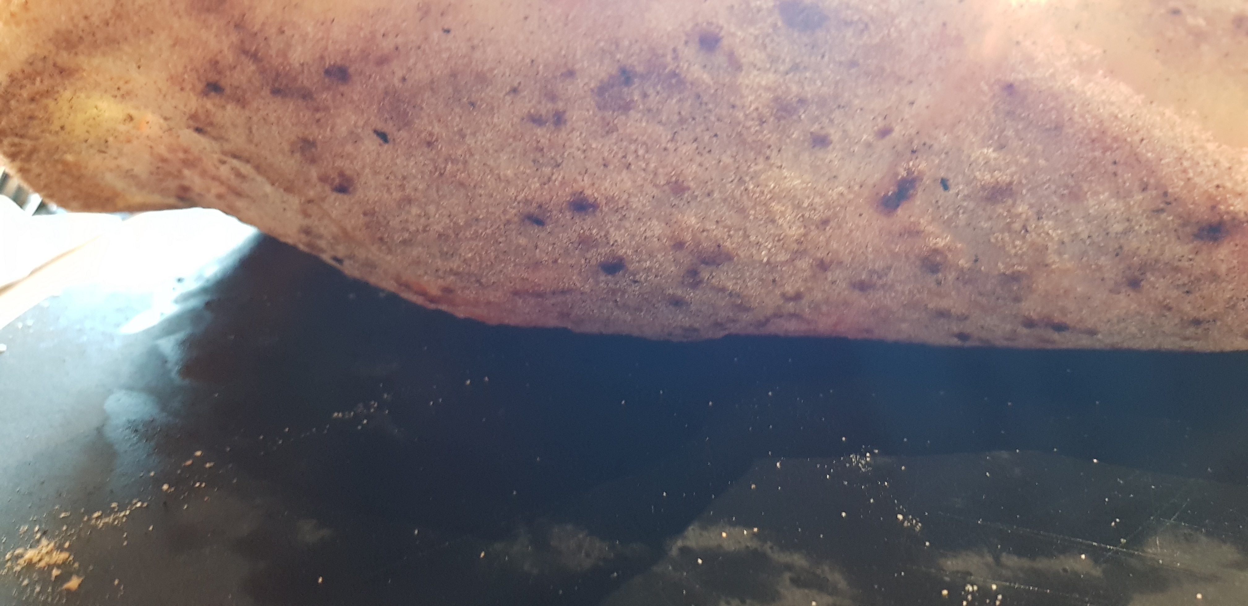 Photo n° 2 de l'avis de Gianfranco.a fait le 24/10/2018 à 09:13