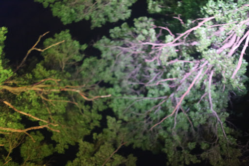 Live Music Venue «Blue Ox Music Festival», reviews and photos, 5024 Crescent Ave, Eau Claire, WI 54703, USA