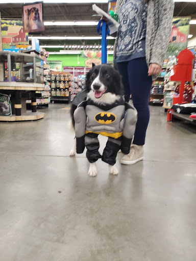 Pet Supply Store «Petco Animal Supplies», reviews and photos, 4600 Casey Blvd #100, Williamsburg, VA 23188, USA